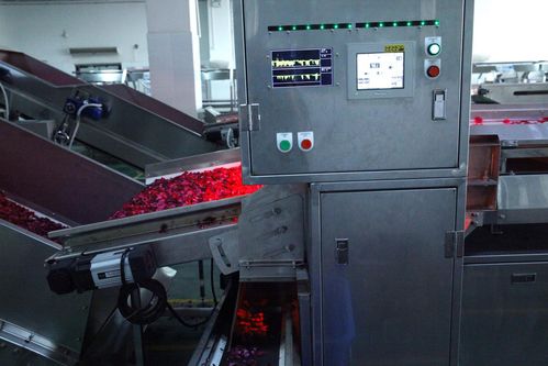 全面革新，智造美味 探秘嘉華食品花工廠技術升級之道